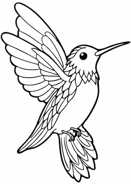 Vector a delightful black and white line art coloring page perfect for kids a brid hummingbird the