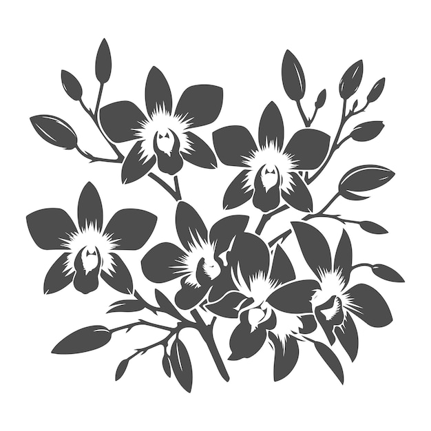 Vector dendrobium orchid flower vector silhouette floral art