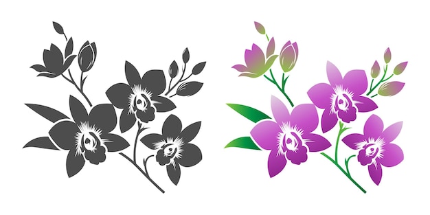 Vector dendrobium orchid flower vector silhouette hand drawn floral art