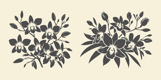 Vector dendrobium orchid flower vector silhouette set floral art