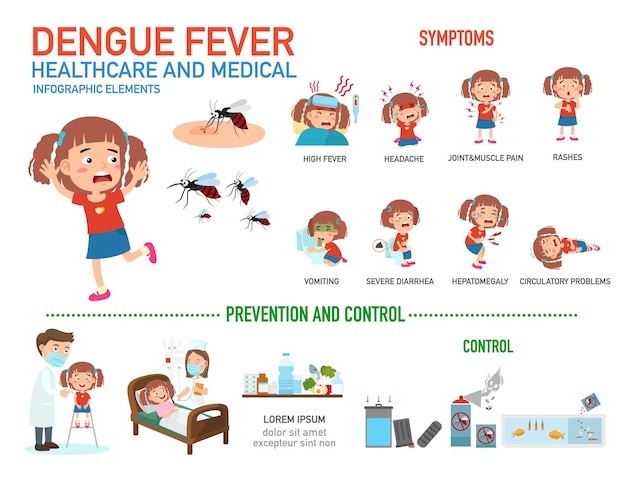 Dengue fever infographics. 