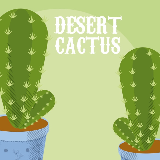 Desert cactus plant