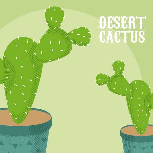 Desert cactus plant