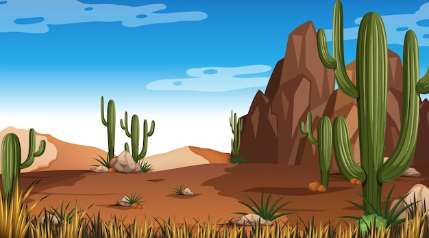 Desert forest landscape at daytime scene with many cactuses