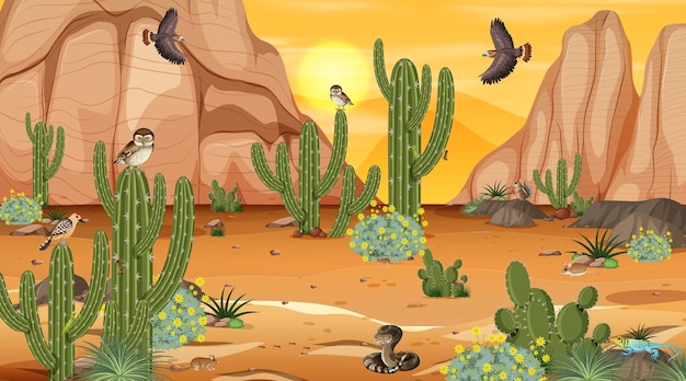 Desert forest landscape at sunset scene with desert animals and plants