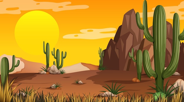 Desert forest landscape at sunset time scene with many cactuses