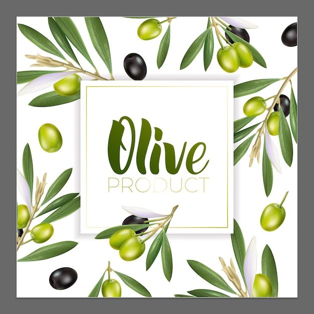 Design of advertising posters, postcards, labels for products from olives. Olive oil lettering by brushpen.