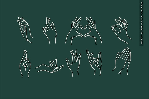 design linear template logos or emblems hands in in different gestures