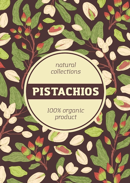 Design of packaging with pistachio pattern on dark background. Vertical packing template with branches, leaves, shells and kernel of pistaches. Hand-drawn colored vector illustration.