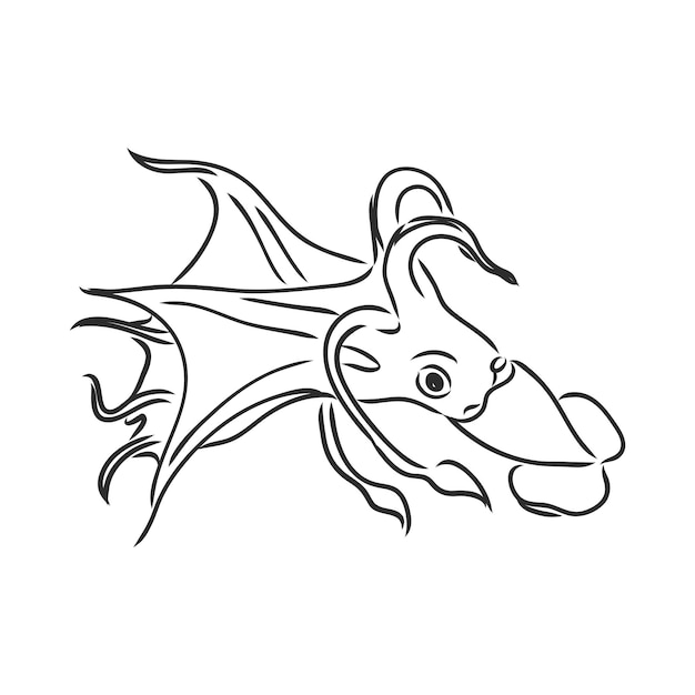 design squid vector sketch on a white background