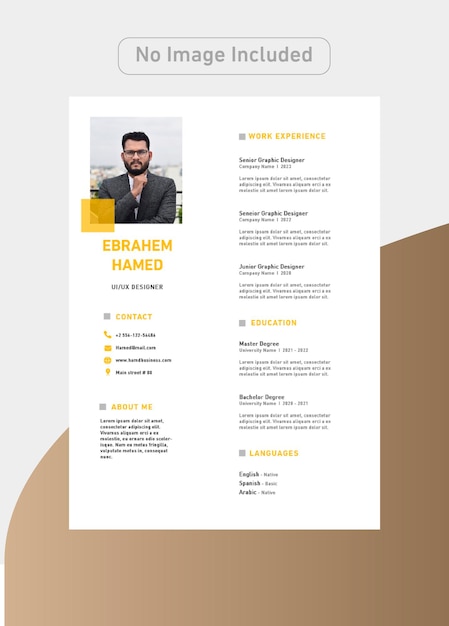 Designer CV Template with luxury colors