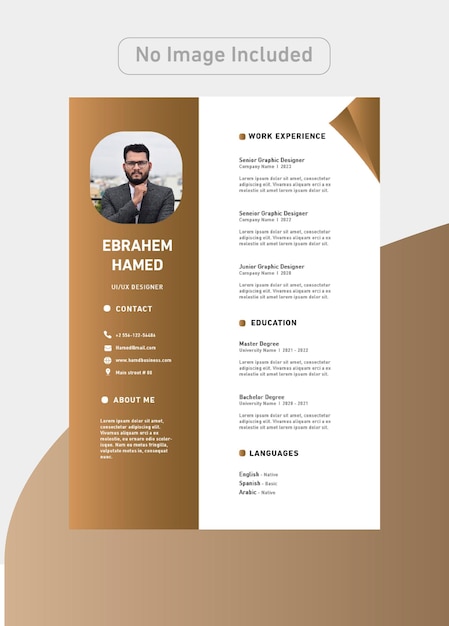 Designer CV Template with luxury colors