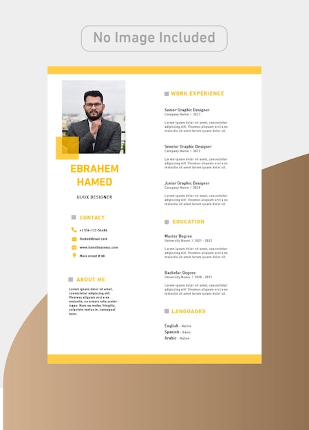 Designer CV Template with luxury colors