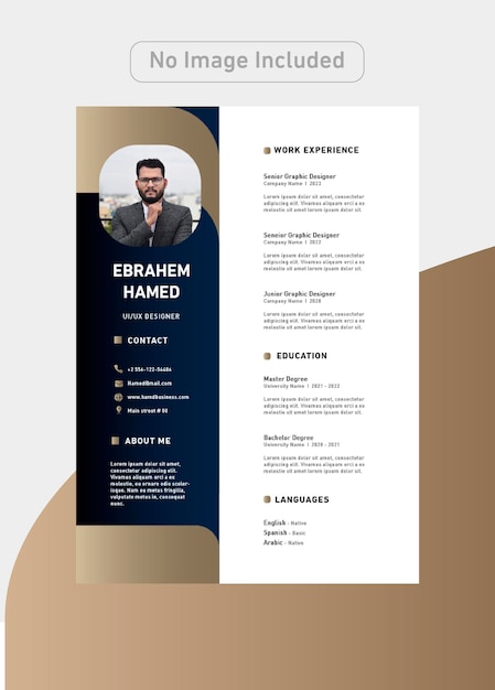 Designer CV Template with luxury colors