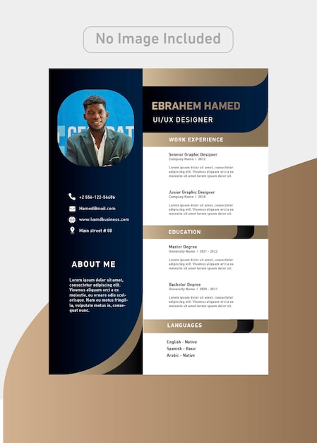 Designer CV Template with luxury colors