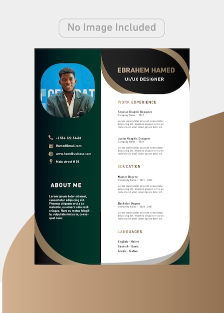 Designer CV Template with luxury colors