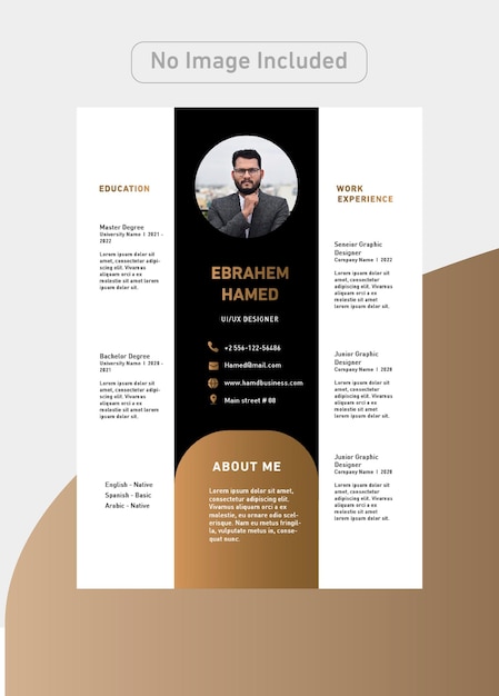 Designer CV Template with luxury colors