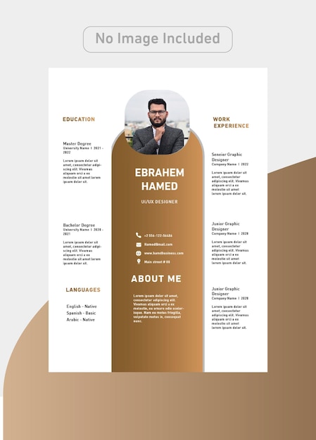 Designer CV Template with luxury colors