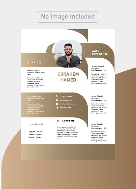 Designer CV Template with luxury colors