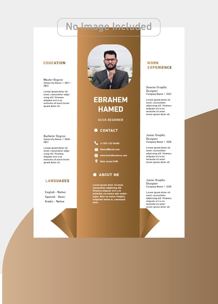 Designer CV Template with luxury colors