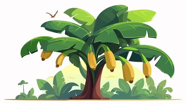 Vector detailed banana tree flat vector illustration on white background