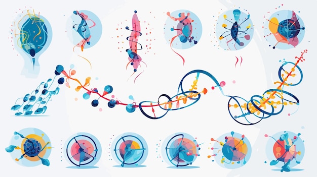 Vector detailed collection of molecular and human dna models for scientific illustrations