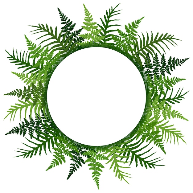 Detailed ferns drawing tropical forest herbs fern frond grass round border