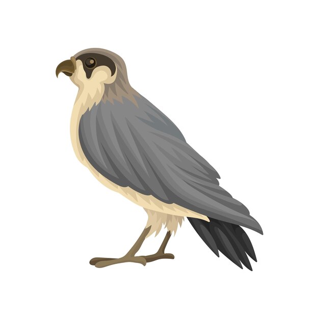 Vector detailed flat vector icon of egyptian falcon predatory bird with long grayblack pointed wings and notched beak