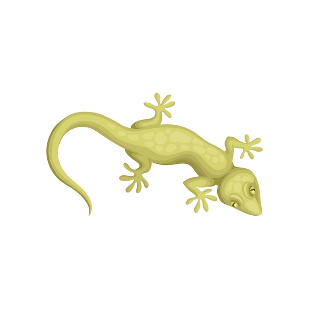 Detailed flat vector icon of smallspotted lizard Reptile with long body and tail four legs movable eyelids and green scaly skin