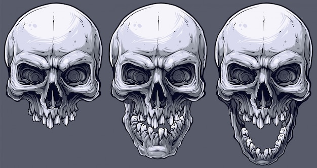 Detailed graphic black and white human skulls set