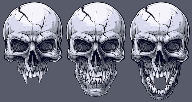 Detailed graphic black and white human skulls set