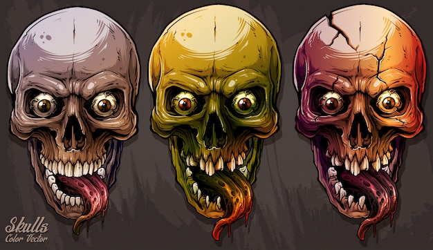 Detailed graphic colorful human skulls set