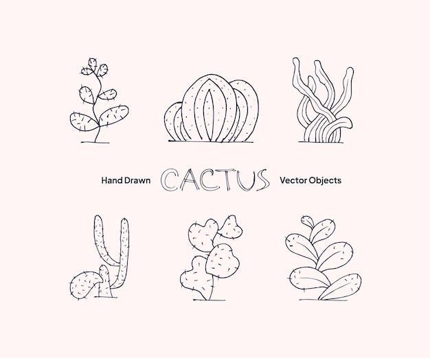 Detailed hand drawing tropical succulent cactus opuntia leaf and plant