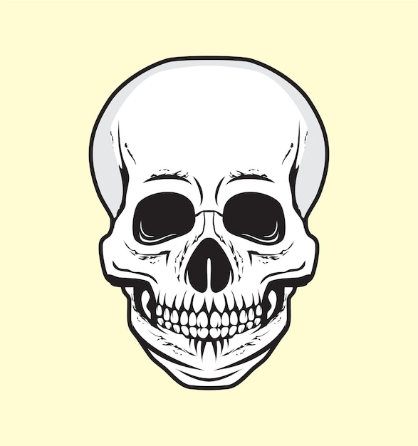 Detailed human skull head design illustration