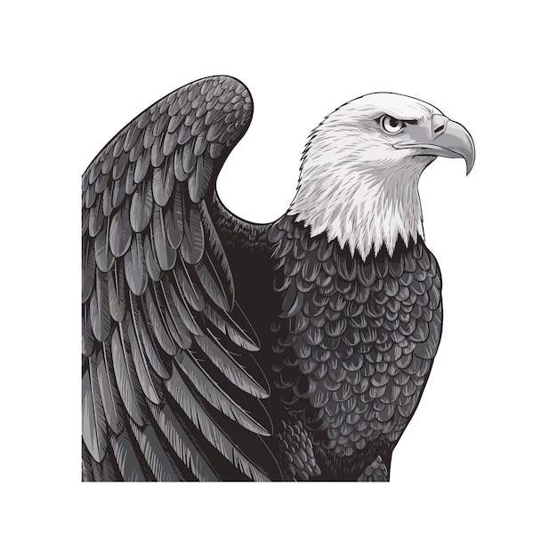 A detailed illustration of a bald eagle with outstretched wings