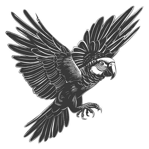 Detailed illustration of a parrot spreading its wings in flight