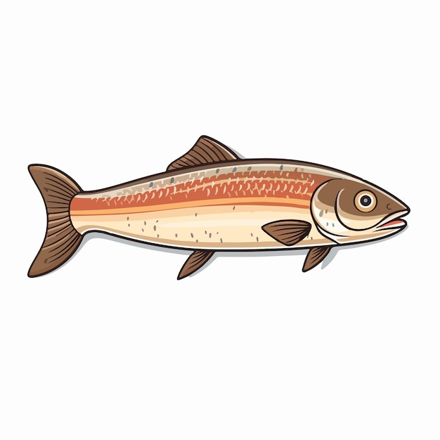 Detailed Mullet Fish Line Vector Illustration on White Background