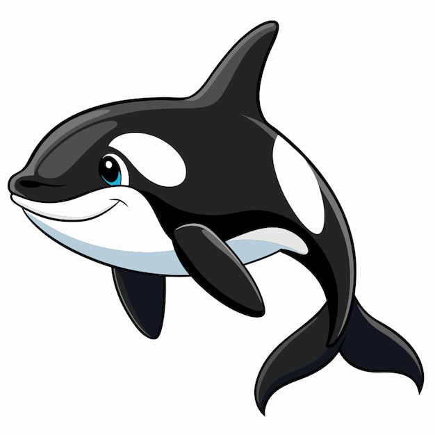 Vector detailed orca on white background vector illustration cartoon