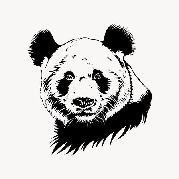 Detailed panda bear illustration