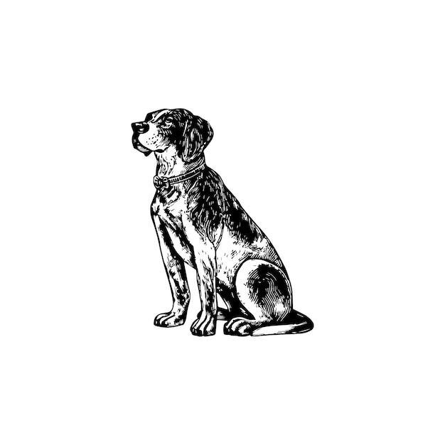 Detailed Sketch of Sitting Dog Vector icon