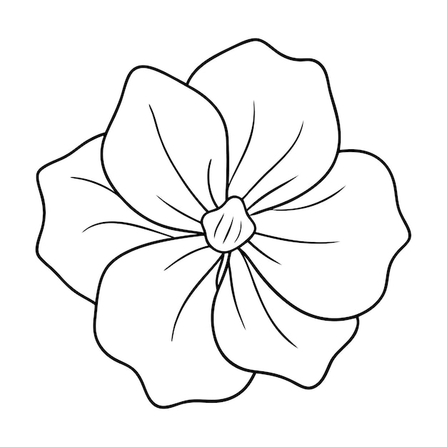 Vector a detailed vector outline of a blooming flower isolated on a pure white background