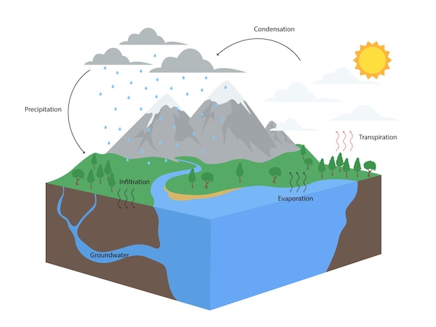 Vector diagram of water cycle in nature illustration