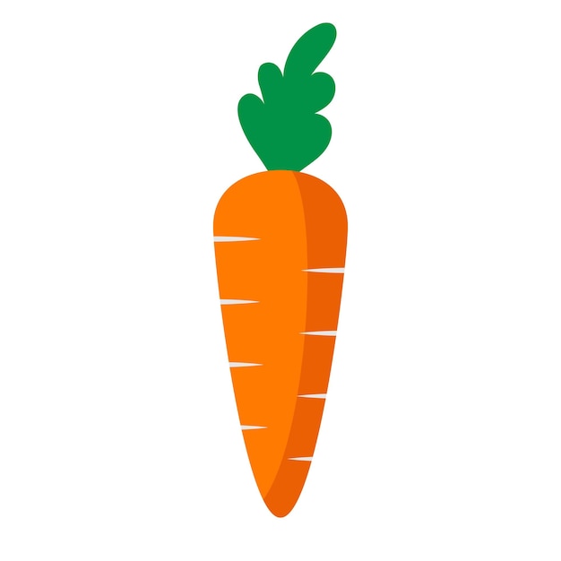 Diet carrot icon isolated on white background