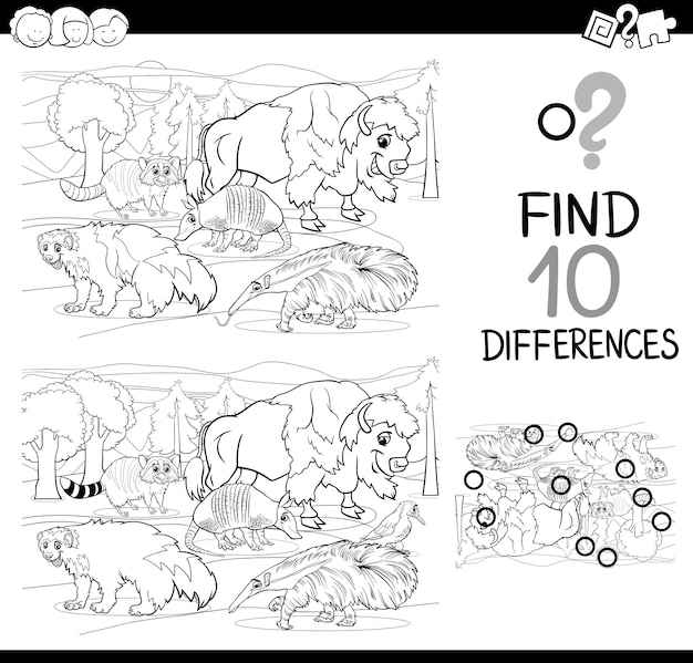 difference activity with animals