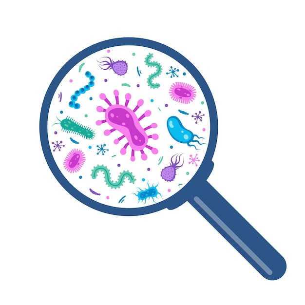 Vector different bacteria pathogenic microorganisms under a magnifying glass bacteria