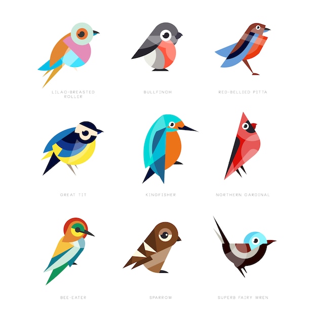 Different birds set, lilac breasted roller, bullfinch, red bellied pitta, great tit, kingfisher, northern cardinal, bee eater, sparrow, superb fairy wren  Illustrations