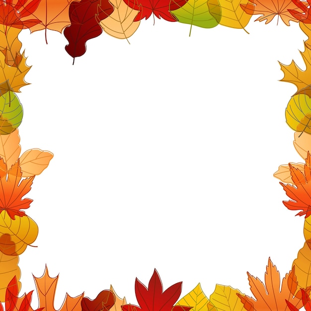 Different color autumn leaves vector frame