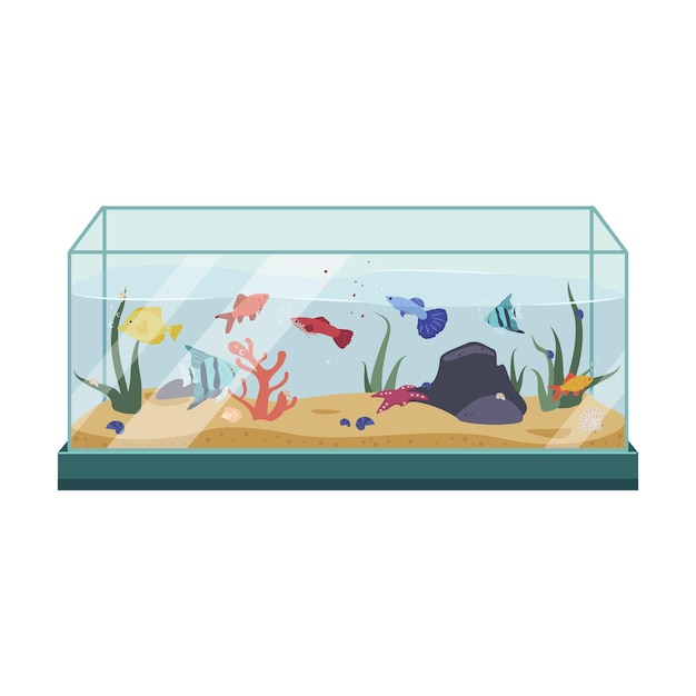 Different colourful fish in the aquarium Interior decoration and home life