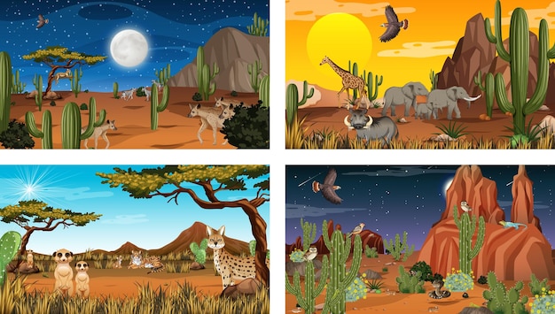 Different desert forest landscape scenes with animals and plants