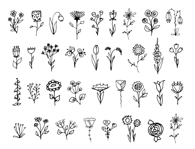 Different flowers in doodle style. Black-white set of flowers. Vector illustration